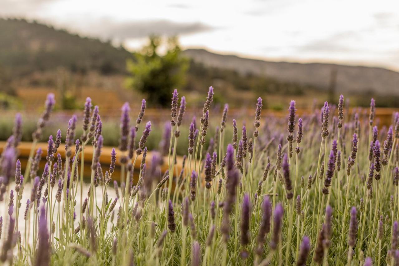 Kouwdouw Guest Farm Βίλα George Εξωτερικό φωτογραφία