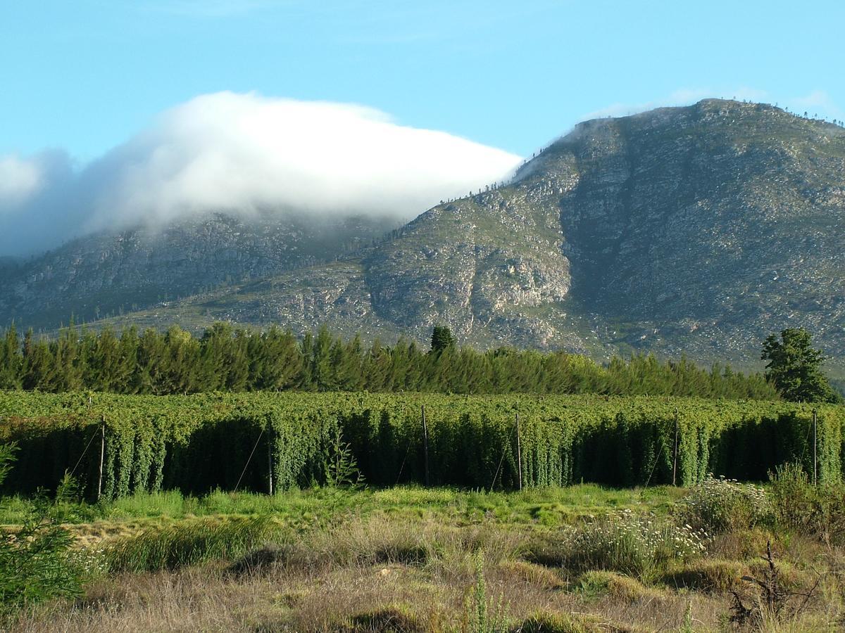 Kouwdouw Guest Farm Βίλα George Εξωτερικό φωτογραφία