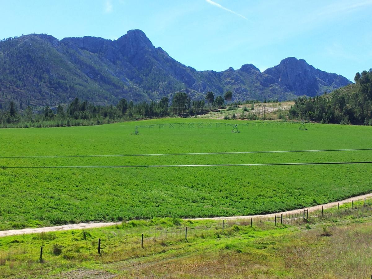 Kouwdouw Guest Farm Βίλα George Εξωτερικό φωτογραφία